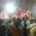 Ratha Yatra 2015 on line